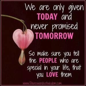 Meet your Posher, Selina